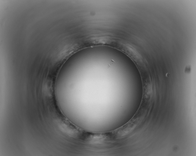 X0000092100414200709191311