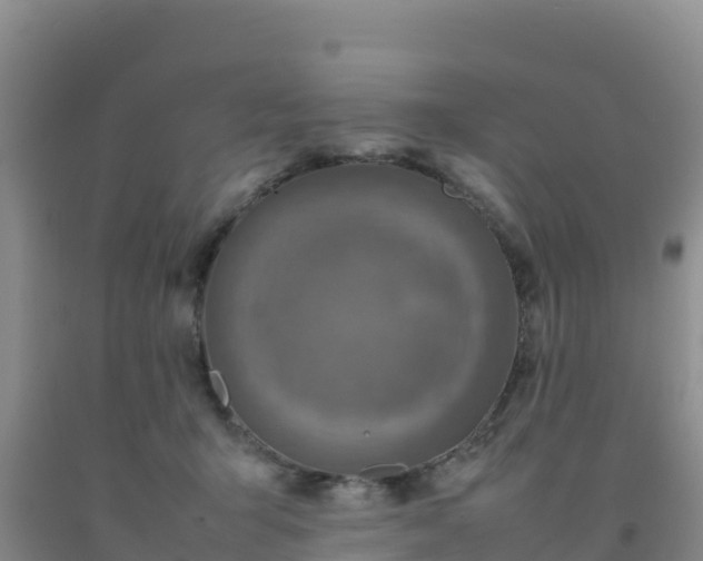 X0000092100415200709191311