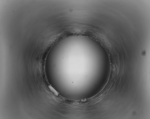 X0000092100416200709191311