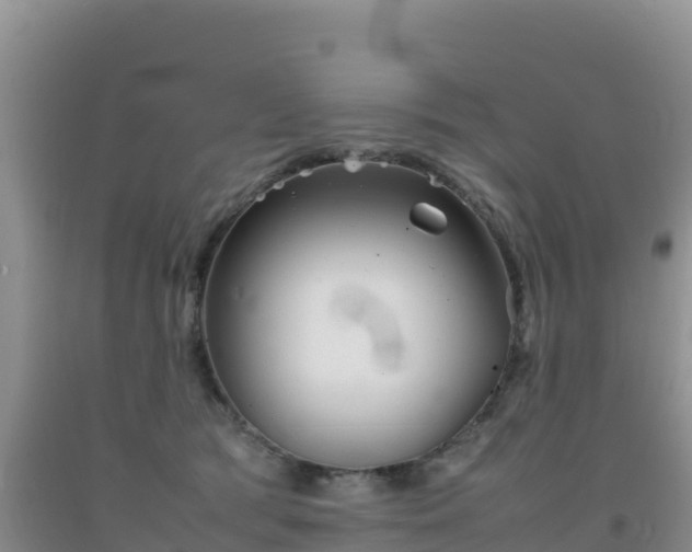 X0000092100417200709191311