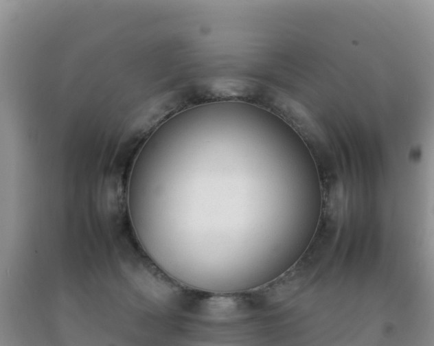 X0000092100418200709191311