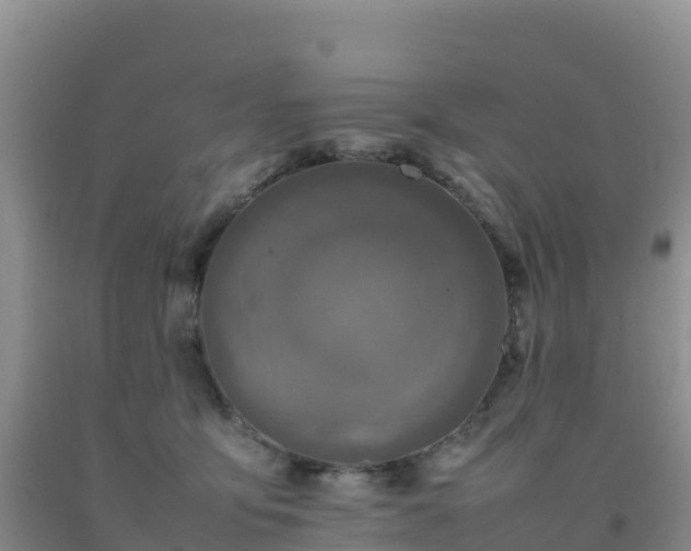 X0000092100419200709191311