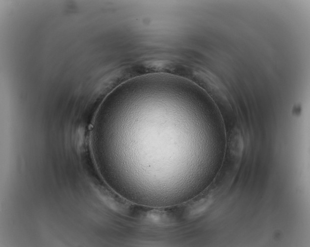 X0000092100420200709191311