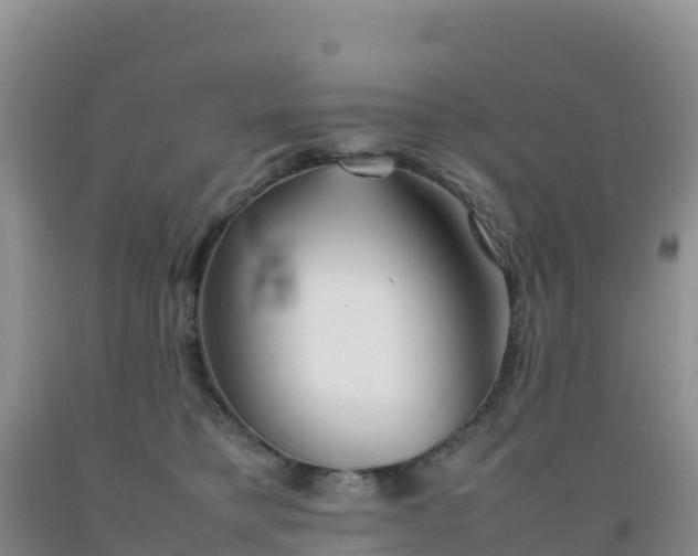 X0000092100421200709191311