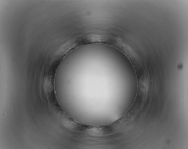 X0000092100422200709191311