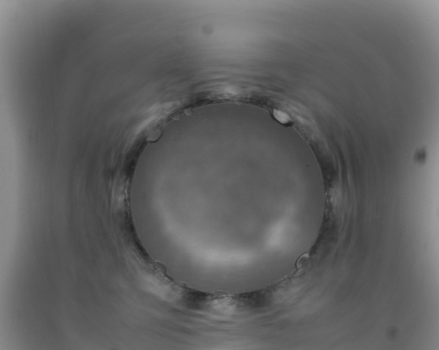 X0000092100423200709191311