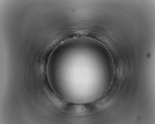 X0000092100424200709191311