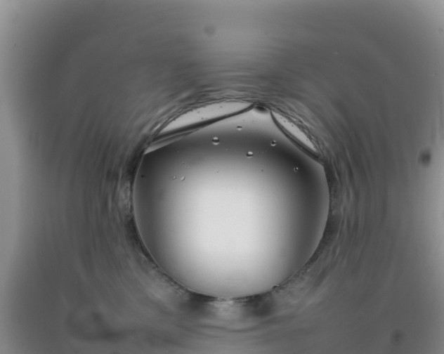 X0000092100425200709191311