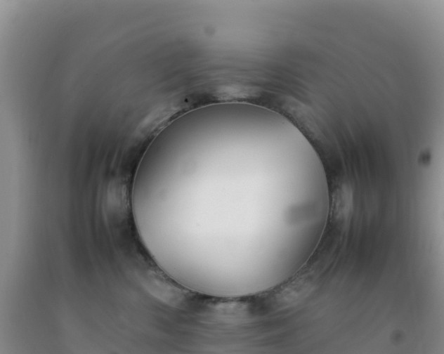 X0000092100426200709191311