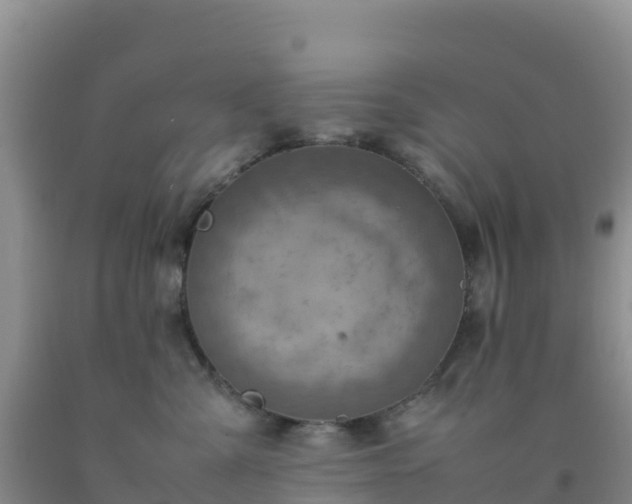 X0000092100427200709191311