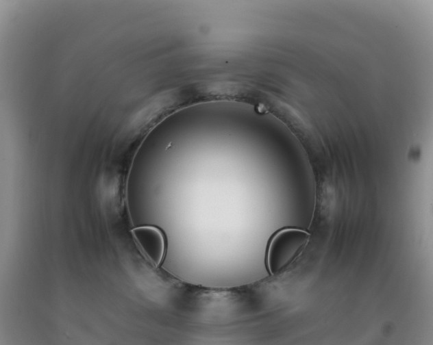 X0000092100428200709191311