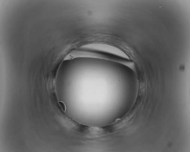 X0000092100429200709191311