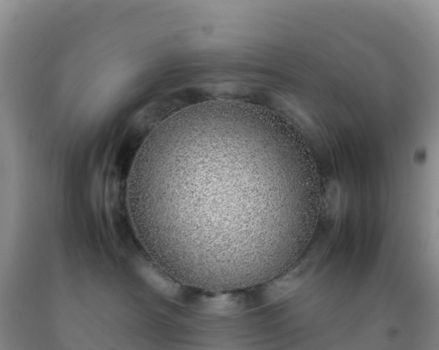 X0000092100430200709191311