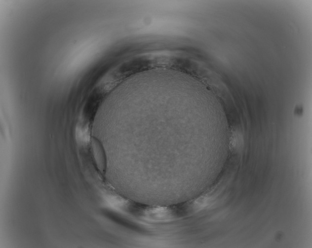 X0000092100431200709191311