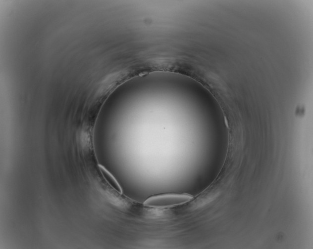 X0000092100432200709191311