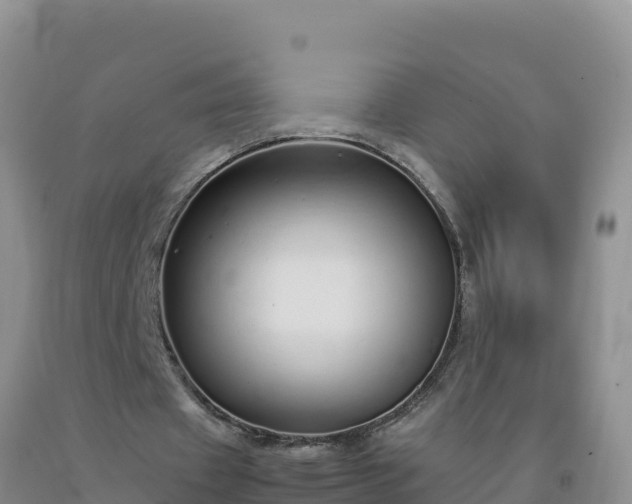 X0000092100433200709191310