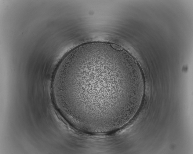 X0000092100434200709191310