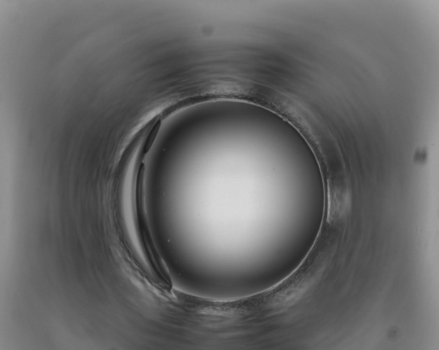 X0000092100435200709191310