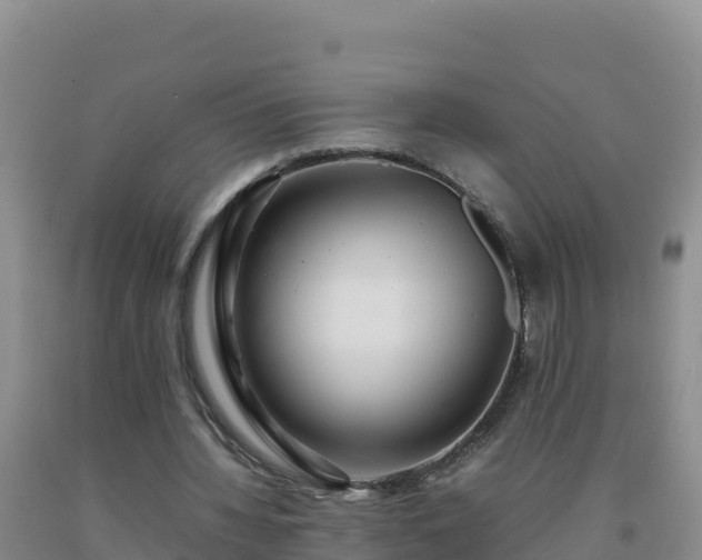 X0000092100436200709191310