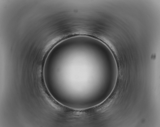 X0000092100437200709191310