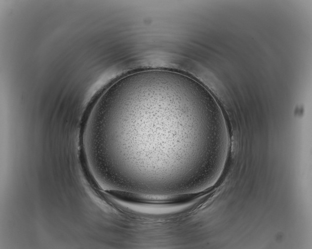 X0000092100438200709191310