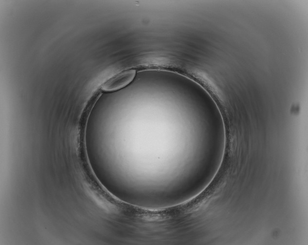 X0000092100439200709191310