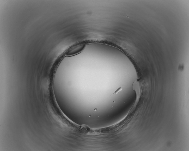 X0000092100440200709191310