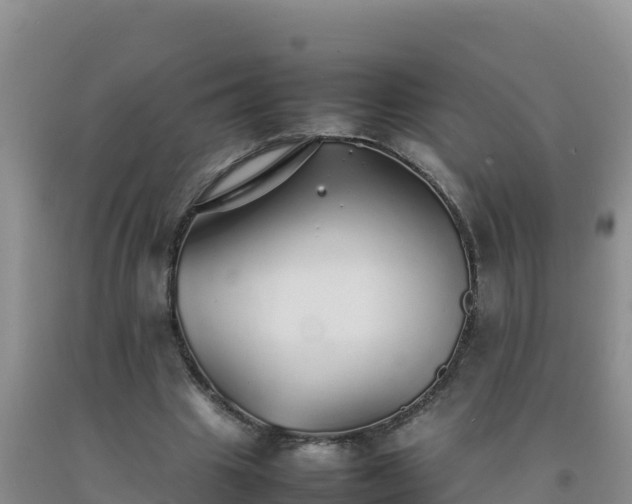 X0000092100441200709191310