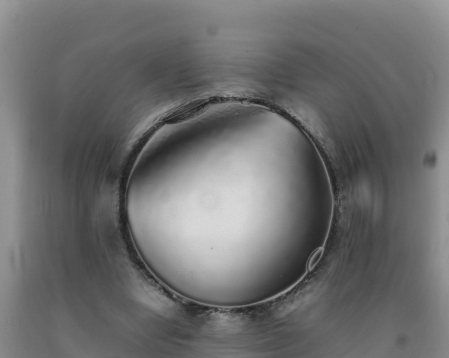 X0000092100442200709191310