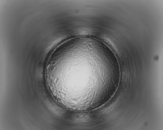 X0000092100443200709191310