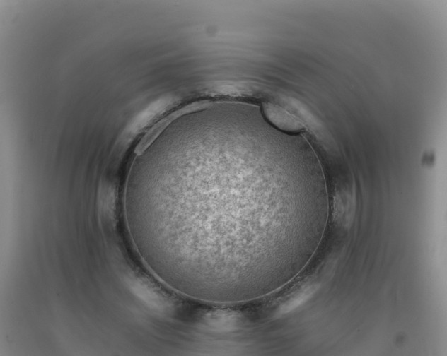 X0000092100444200709191310