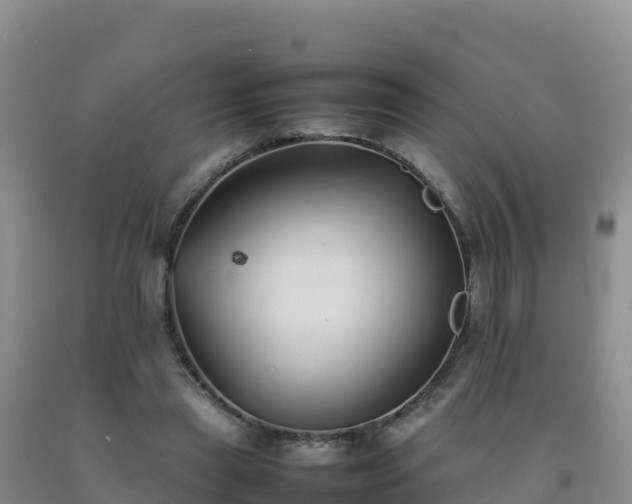 X0000092100445200709191310