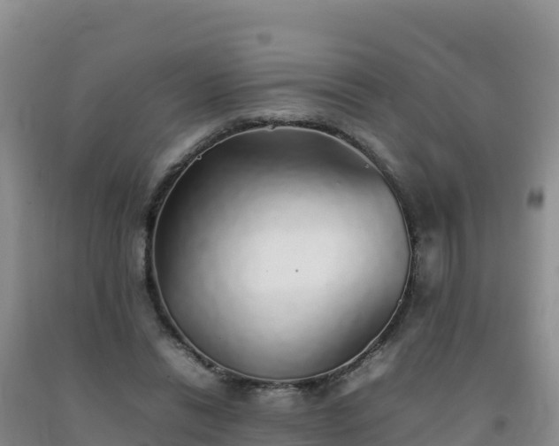 X0000092100446200709191310