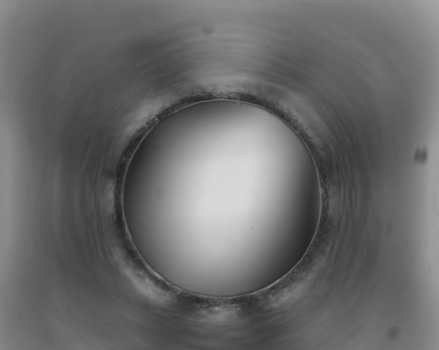 X0000092100447200709191310