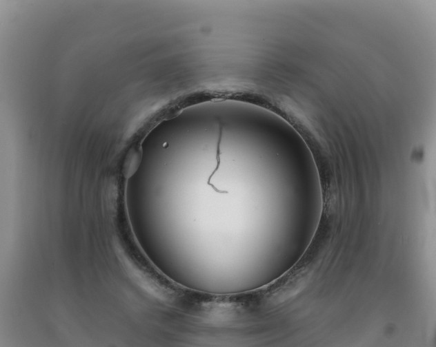 X0000092100448200709191310