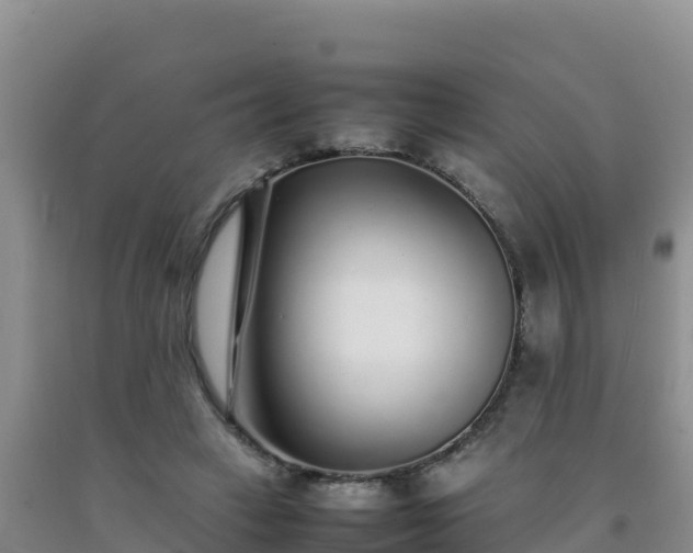 X0000092100449200709191310