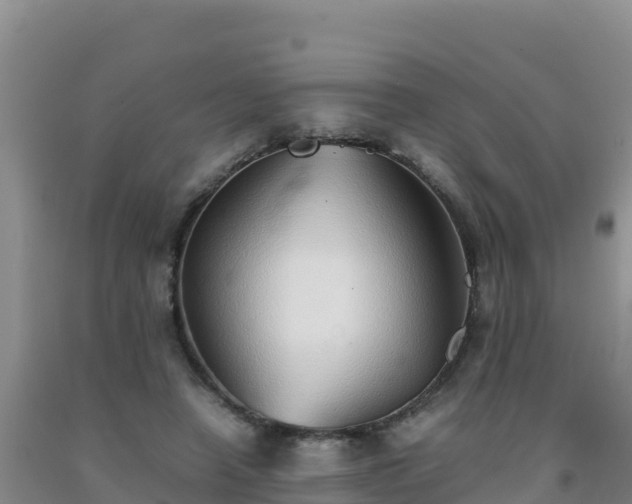 X0000092100450200709191310