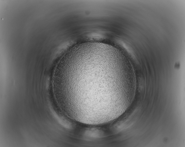 X0000092100451200709191310