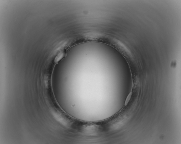 X0000092100452200709191310