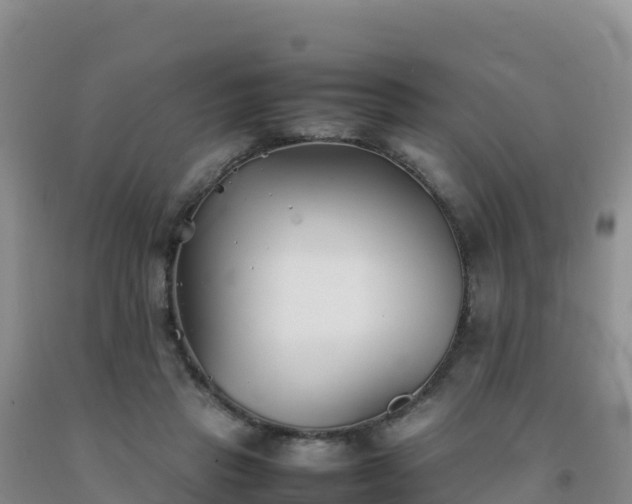 X0000092100453200709191310