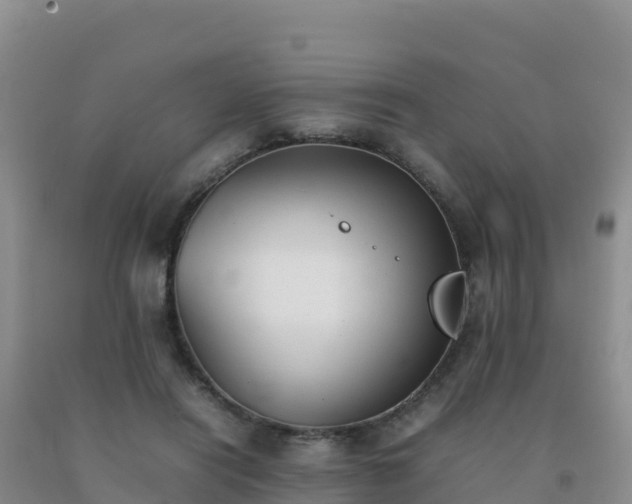 X0000092100454200709191310