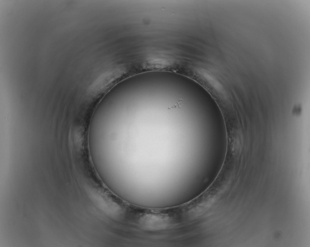 X0000092100455200709191310