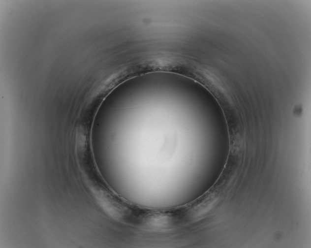 X0000092100456200709191310