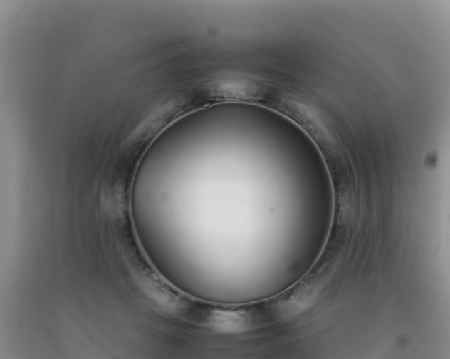 X0000092100457200709191310