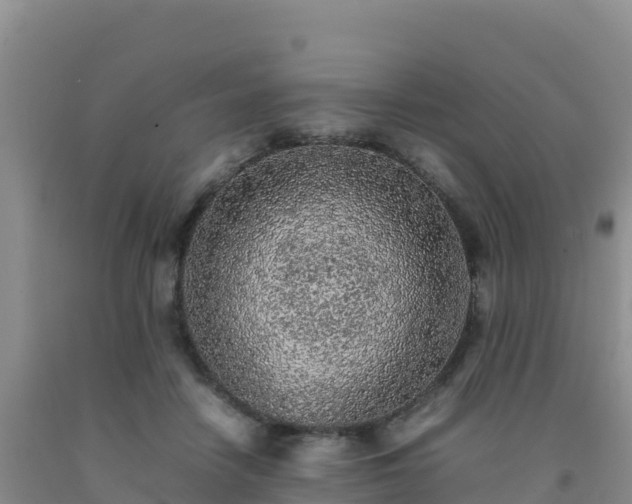 X0000092100458200709191310