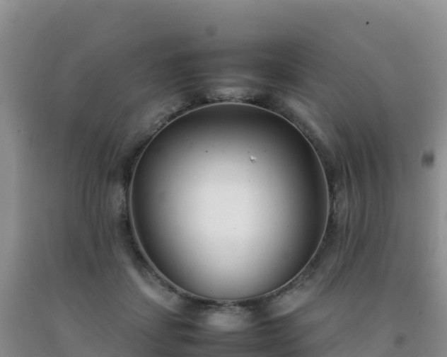 X0000092100459200709191310