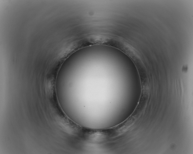 X0000092100460200709191310