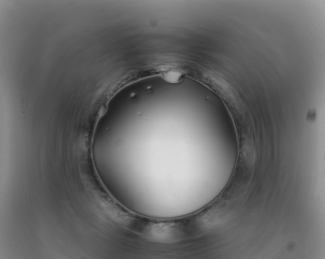 X0000092100461200709191310