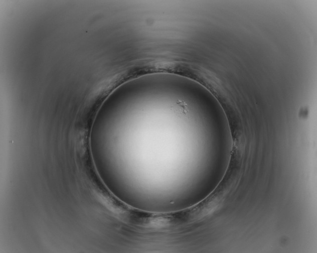 X0000092100462200709191310