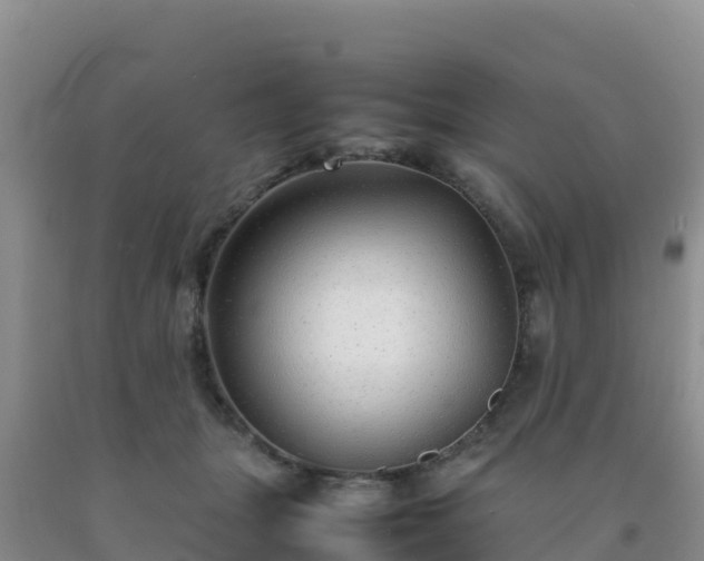 X0000092100463200709191310